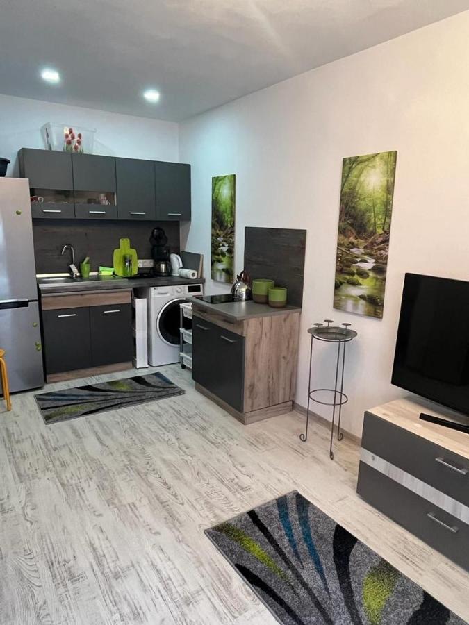 Apartament Acasa Sf.Gheorghe Sfântu-Gheorghe Eksteriør bilde