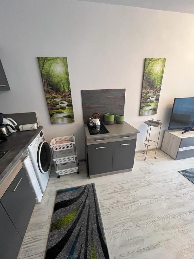 Apartament Acasa Sf.Gheorghe Sfântu-Gheorghe Eksteriør bilde
