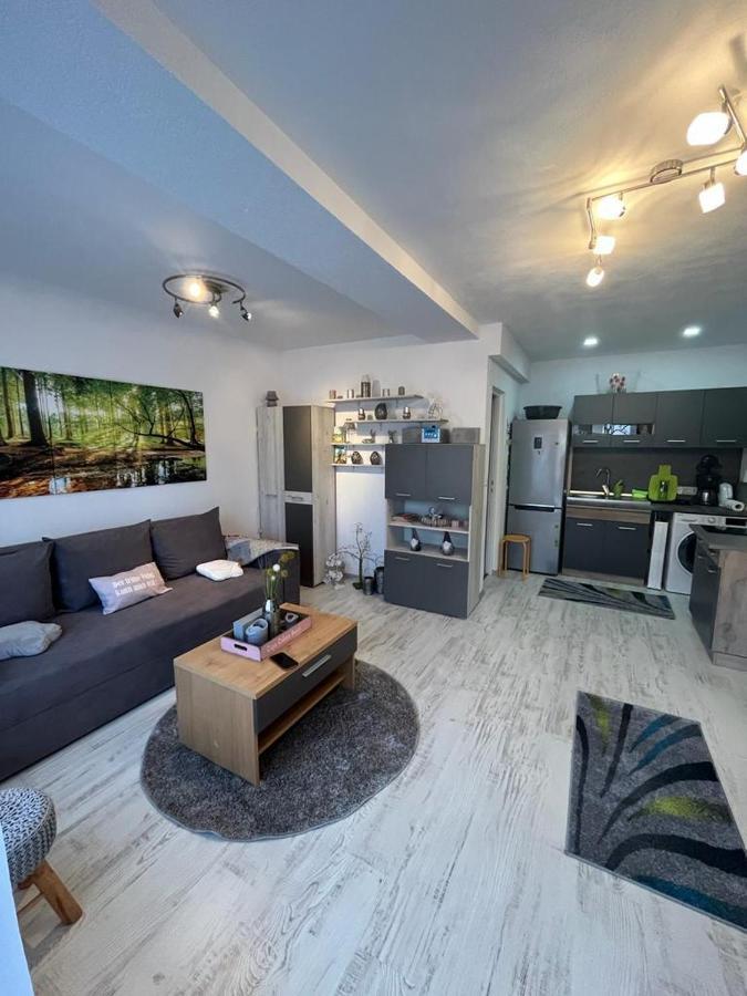 Apartament Acasa Sf.Gheorghe Sfântu-Gheorghe Eksteriør bilde