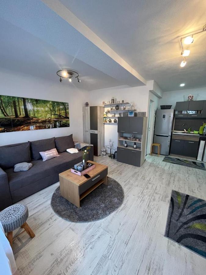 Apartament Acasa Sf.Gheorghe Sfântu-Gheorghe Eksteriør bilde